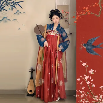 Revlon Orijinal otantik Hanfu kadın bahar Tang etek Çin tarzı bahar Giyim tam set Geleneksel Tang Hanedanı Elbise